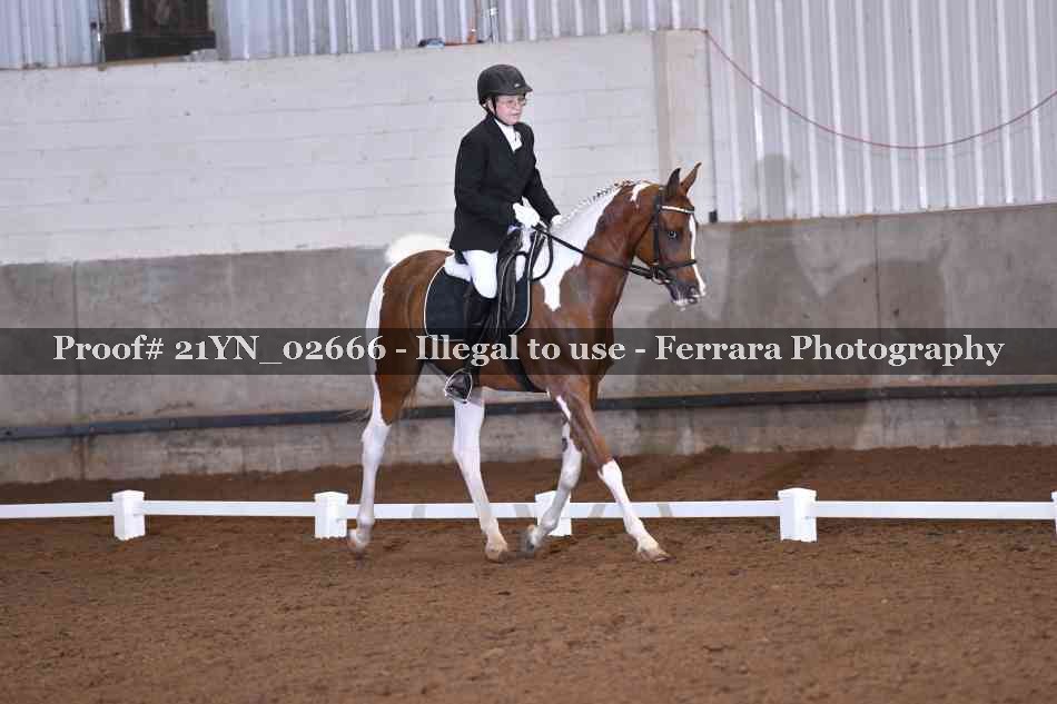 Proof 21YN_02666