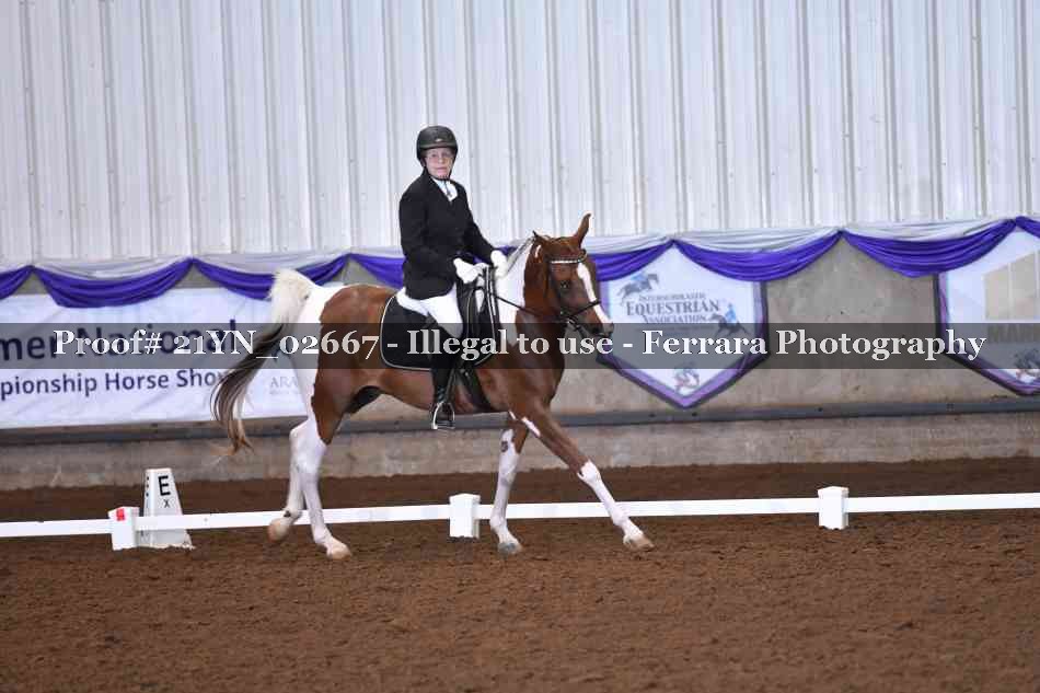 Proof 21YN_02667