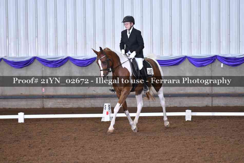Proof 21YN_02672
