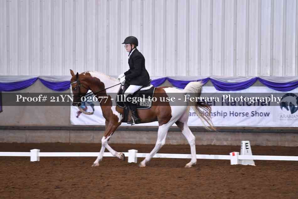 Proof 21YN_02677