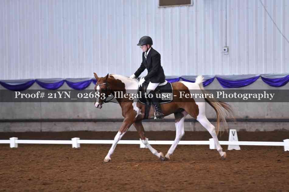 Proof 21YN_02683