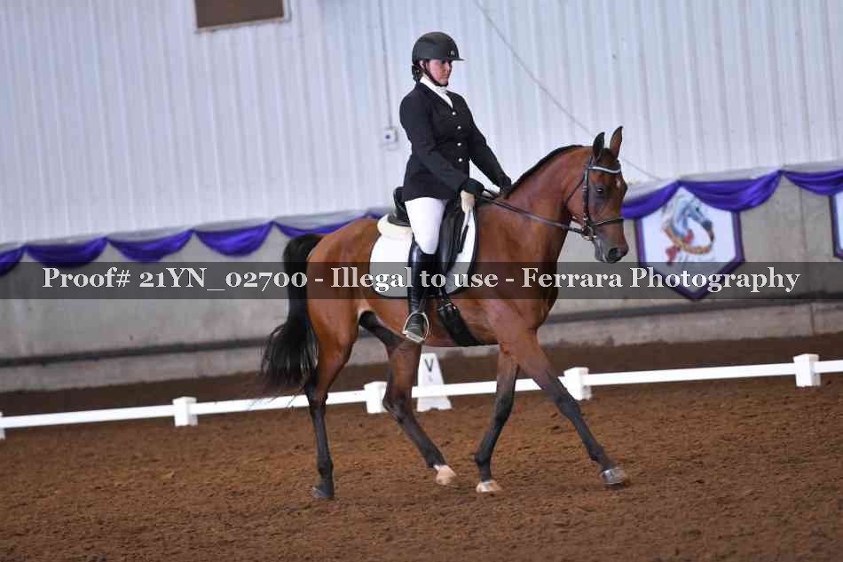 Proof 21YN_02700