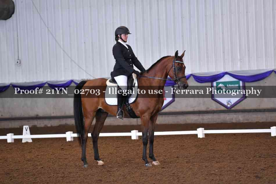 Proof 21YN_02703