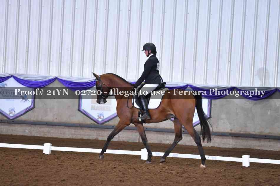 Proof 21YN_02720