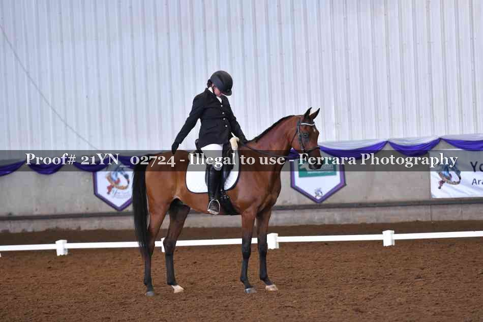 Proof 21YN_02724