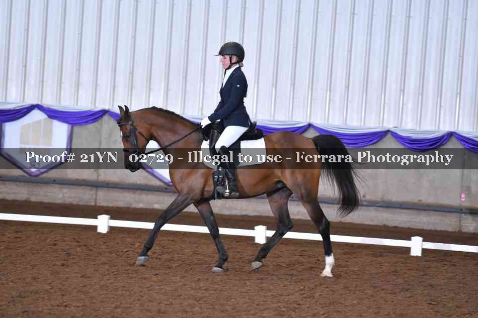 Proof 21YN_02729