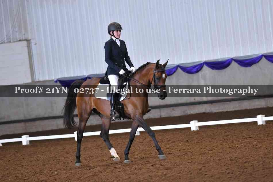 Proof 21YN_02737