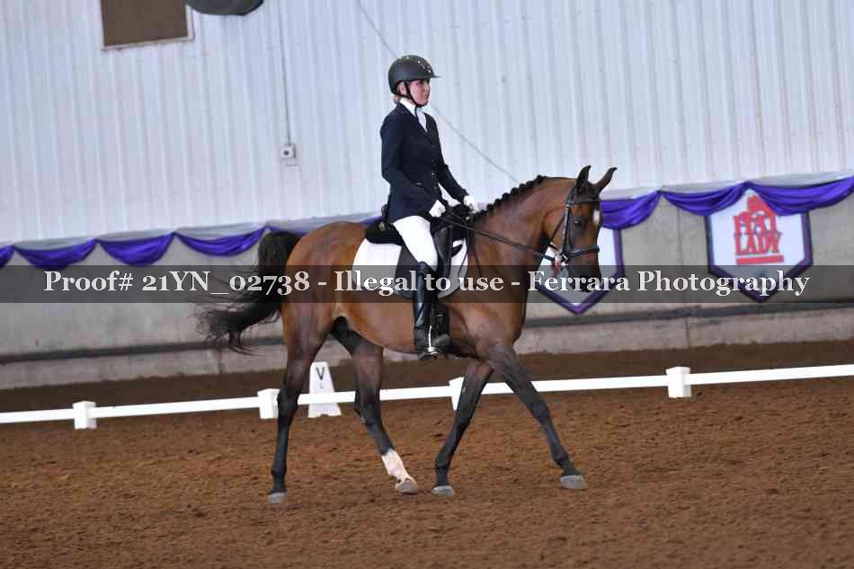 Proof 21YN_02738
