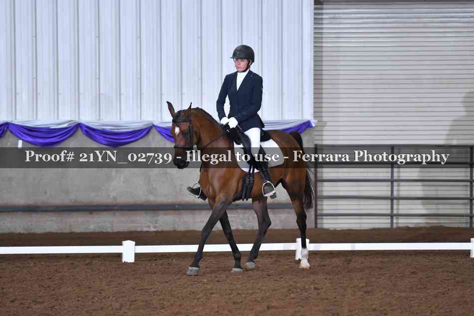 Proof 21YN_02739