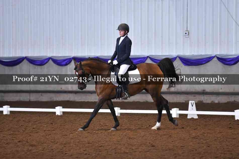 Proof 21YN_02743
