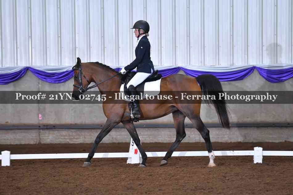 Proof 21YN_02745