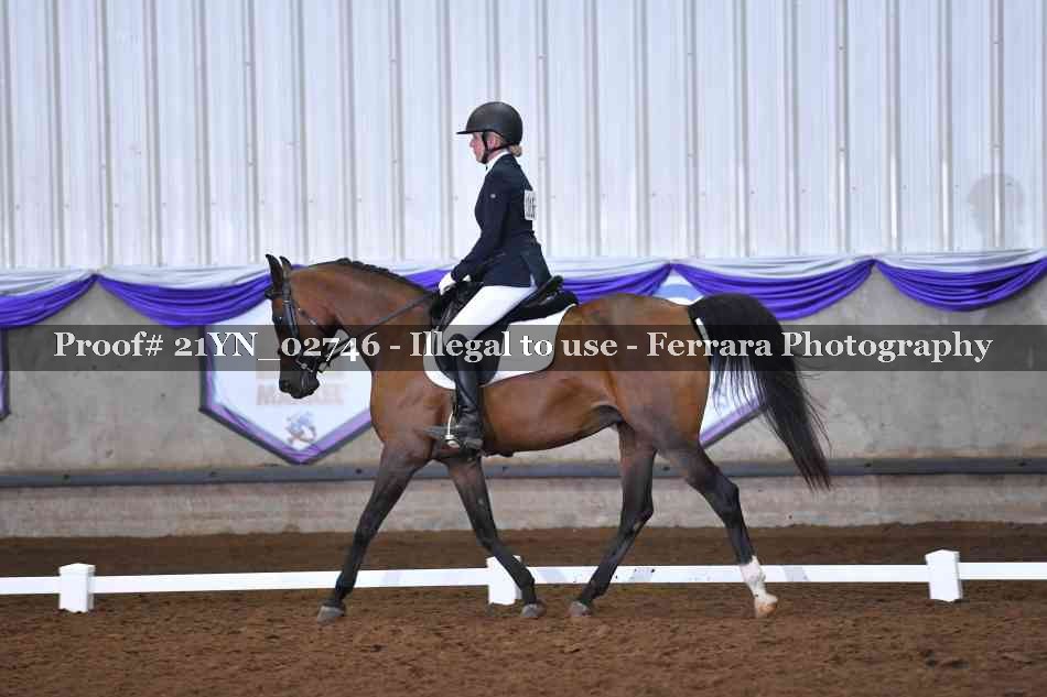 Proof 21YN_02746