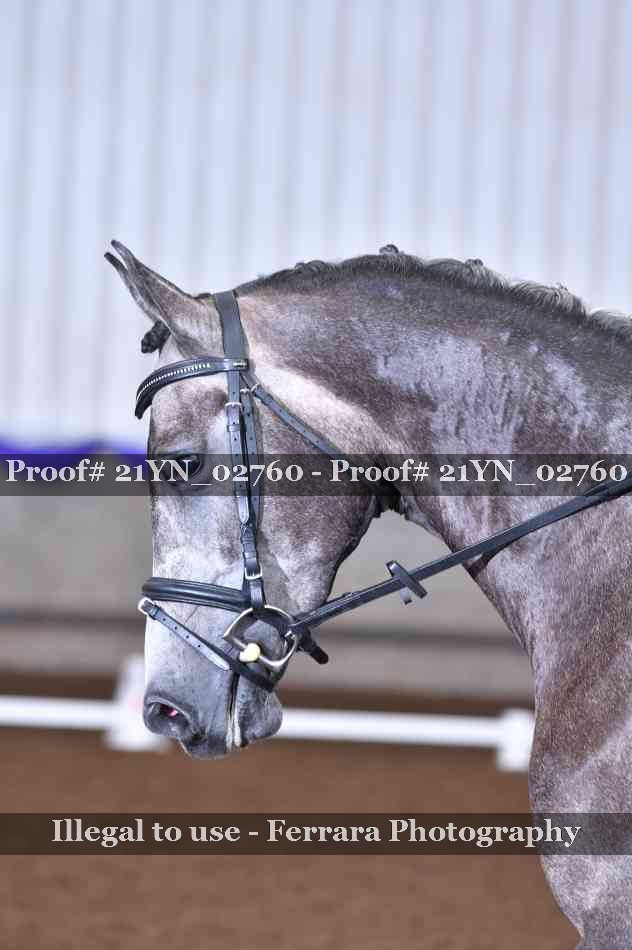 Proof 21YN_02760