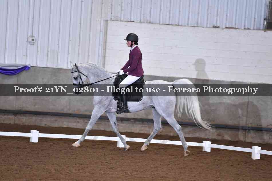 Proof 21YN_02801