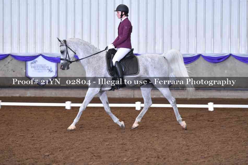 Proof 21YN_02804