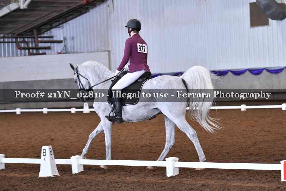 Proof 21YN_02810