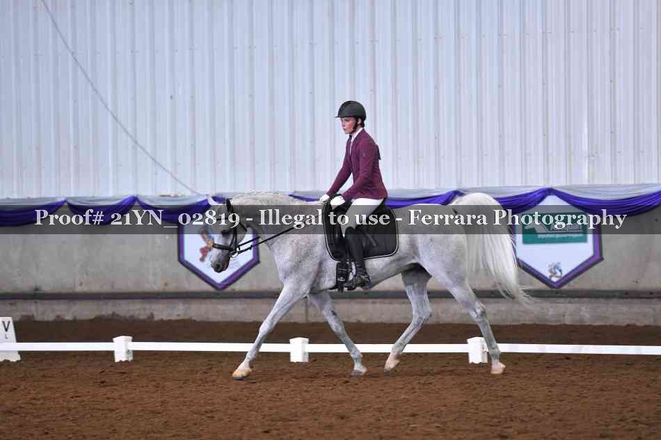 Proof 21YN_02819