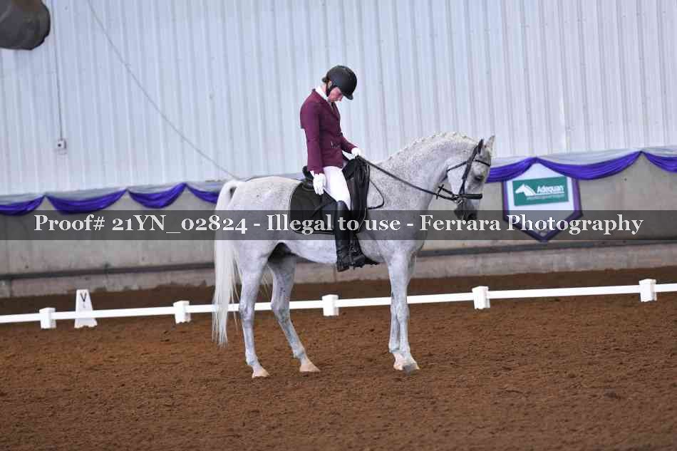 Proof 21YN_02824