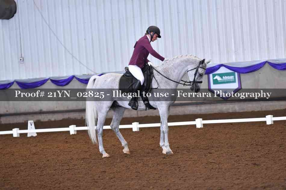 Proof 21YN_02825