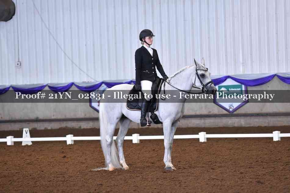 Proof 21YN_02831