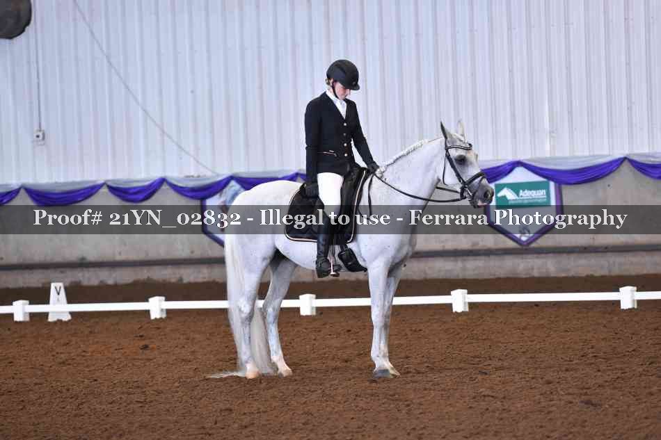 Proof 21YN_02832