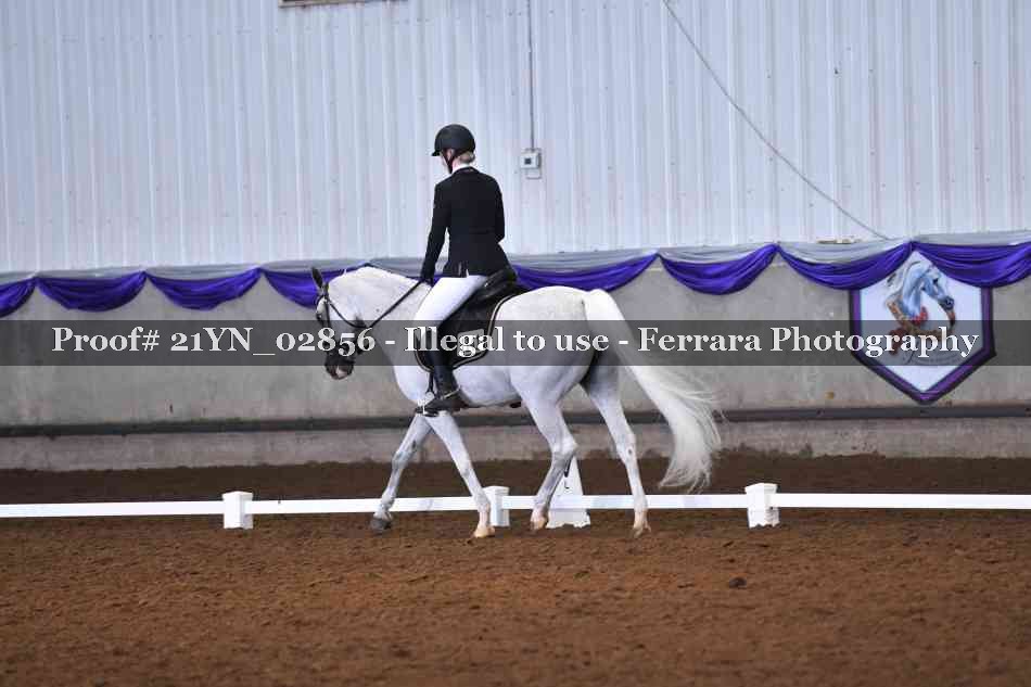 Proof 21YN_02856