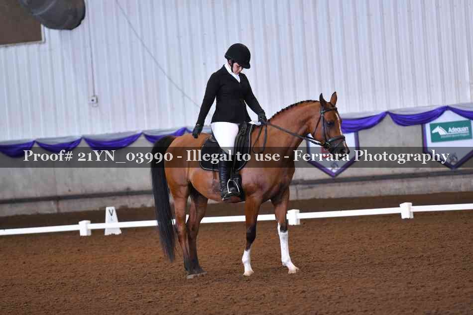 Proof 21YN_03990