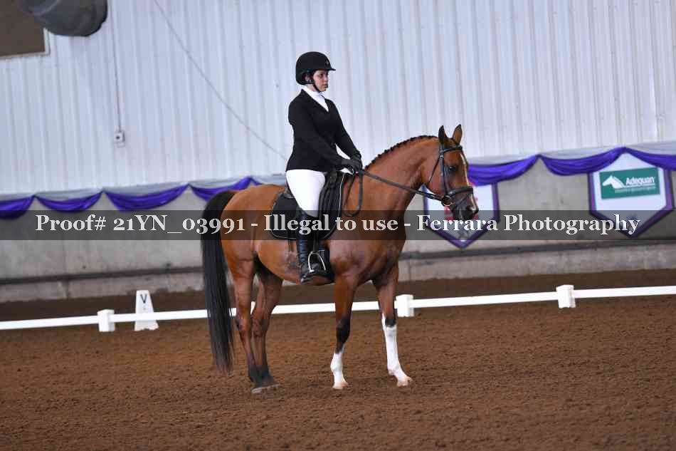 Proof 21YN_03991
