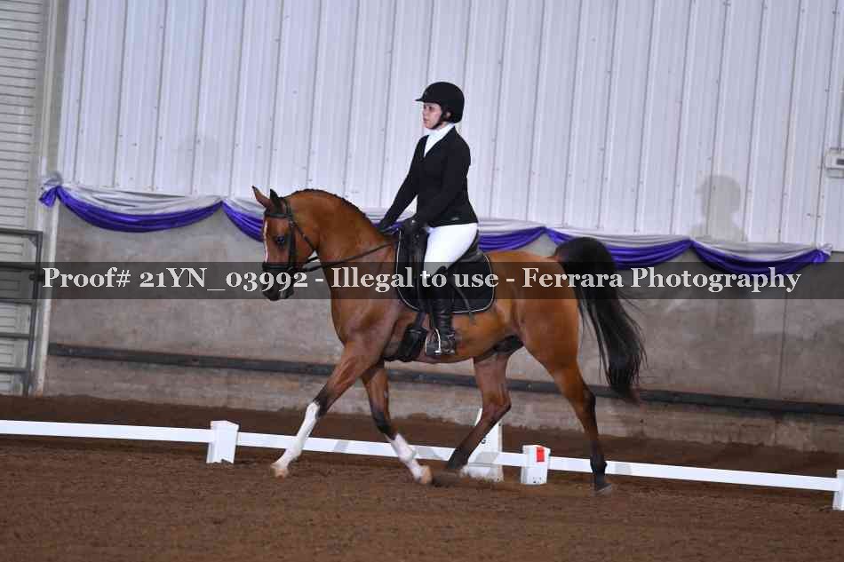 Proof 21YN_03992