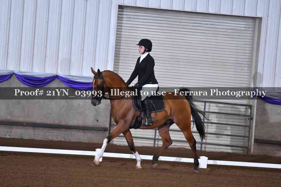Proof 21YN_03993