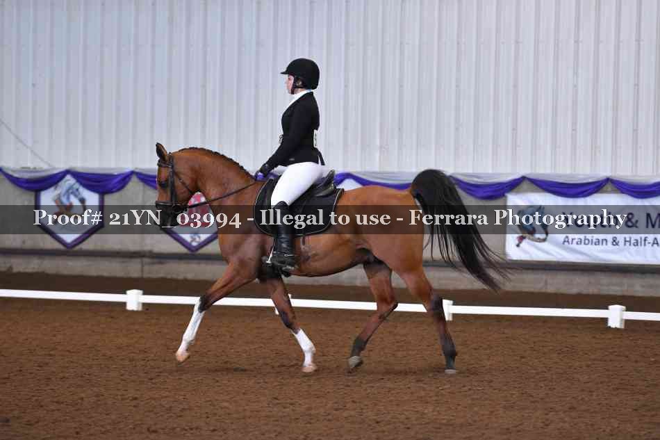 Proof 21YN_03994