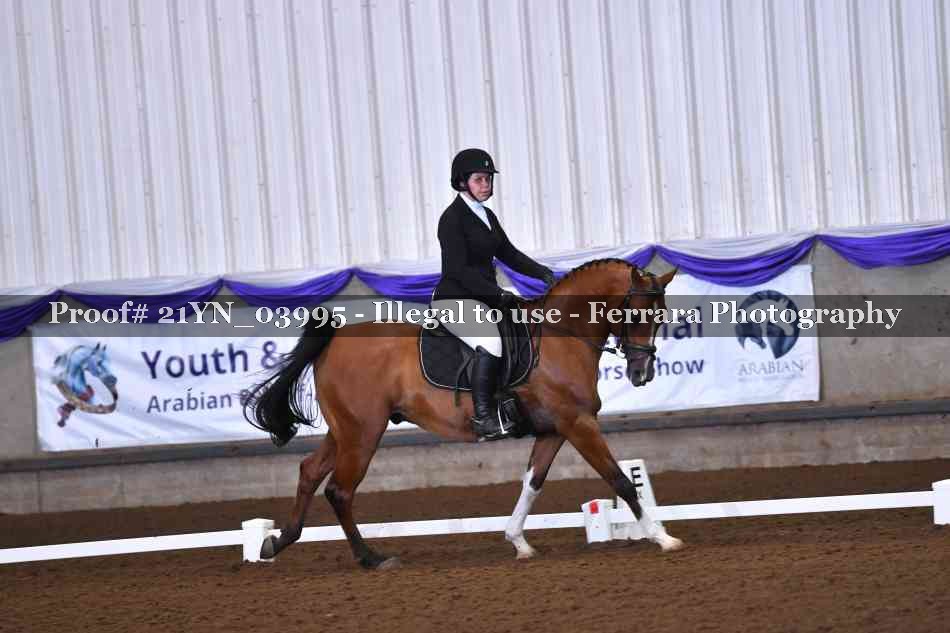 Proof 21YN_03995