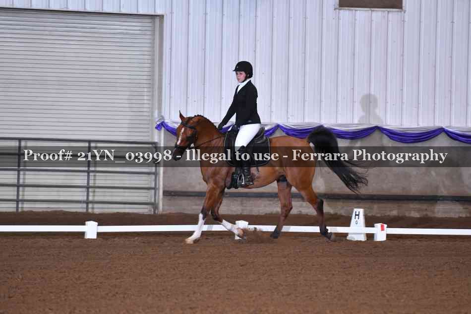 Proof 21YN_03998