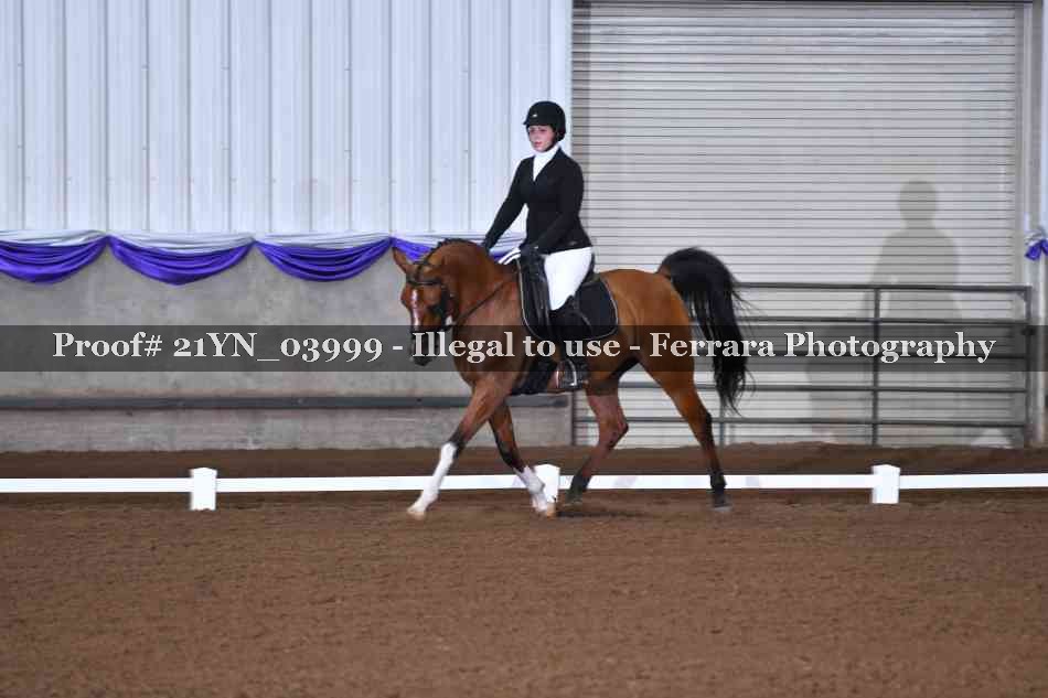 Proof 21YN_03999