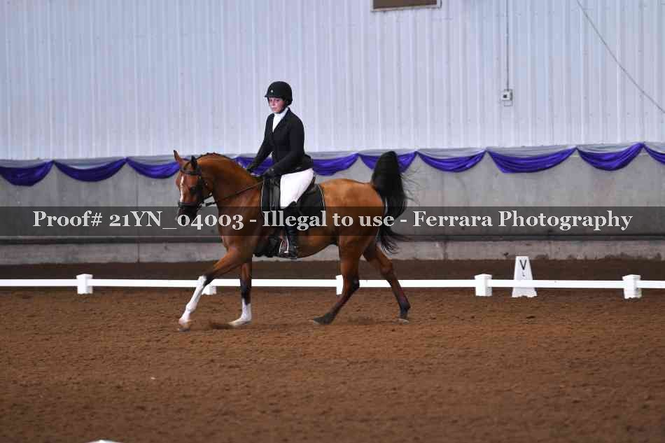 Proof 21YN_04003