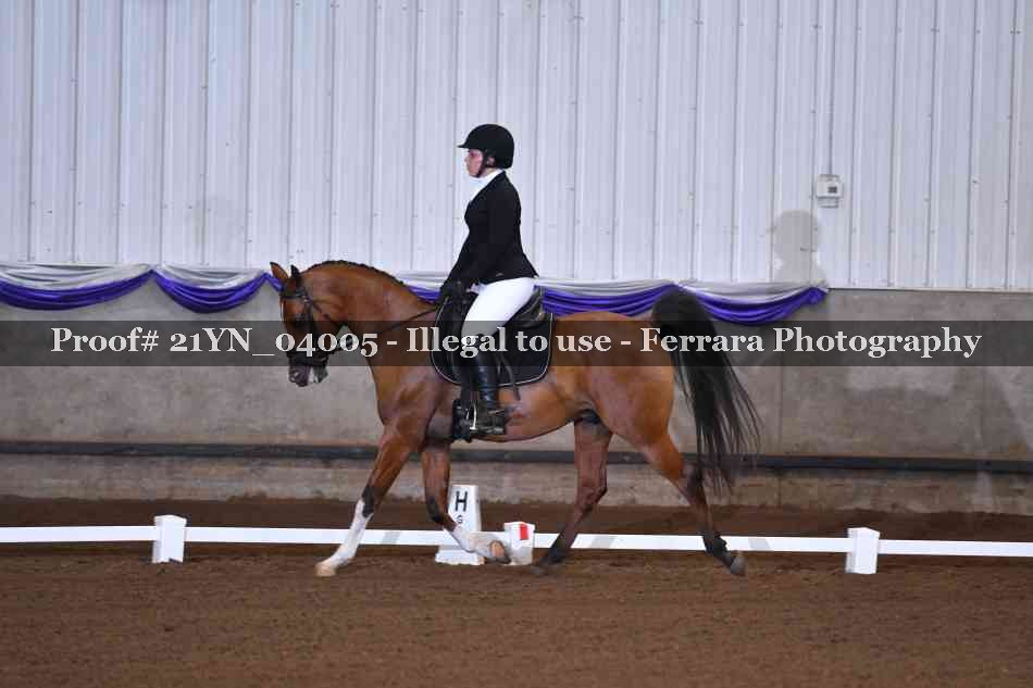 Proof 21YN_04005