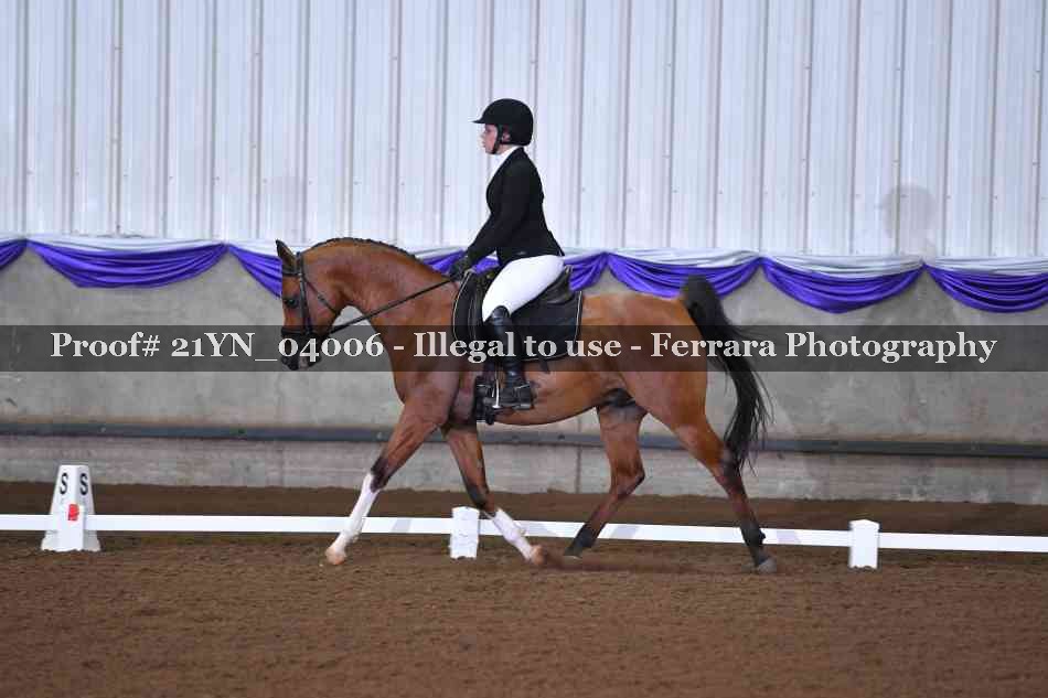 Proof 21YN_04006