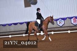 21YN_04012 proof