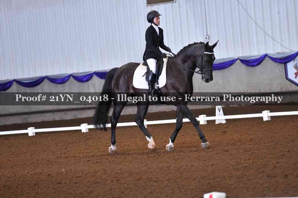 Proof 21YN_04018