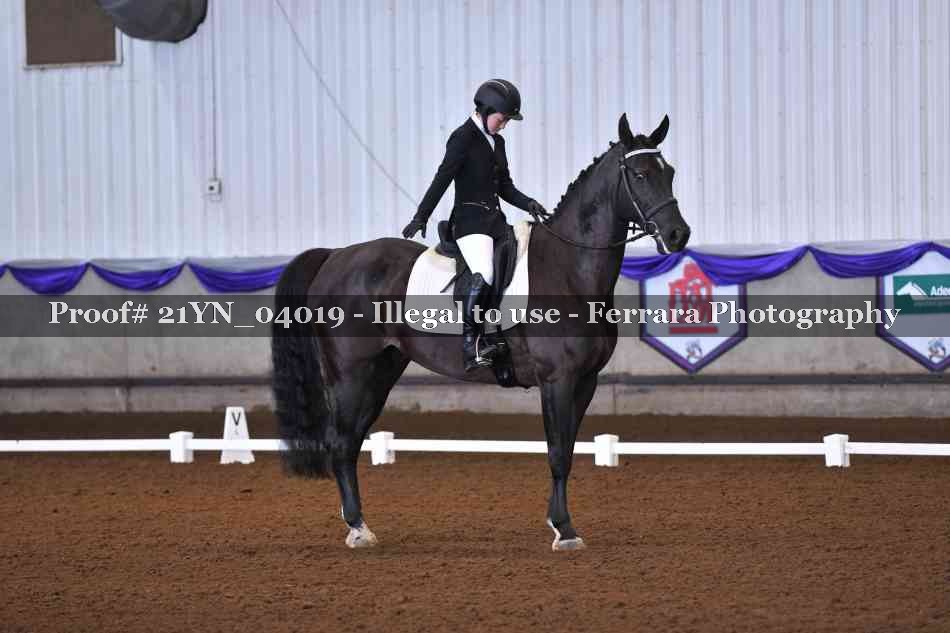 Proof 21YN_04019