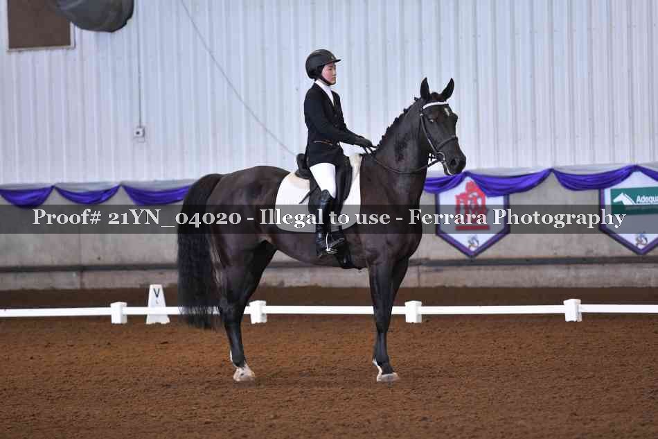 Proof 21YN_04020