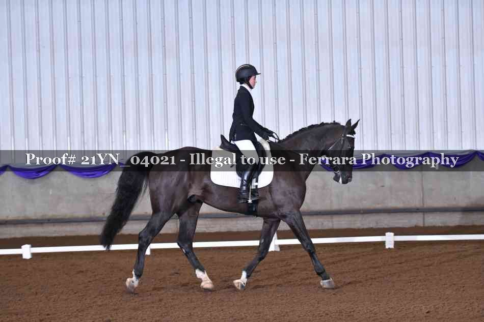 Proof 21YN_04021