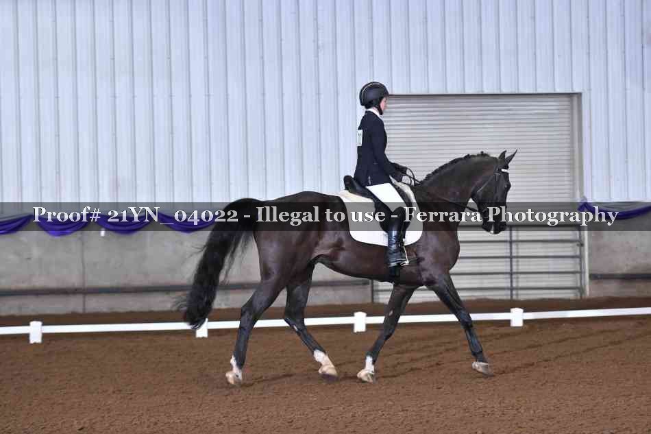 Proof 21YN_04022