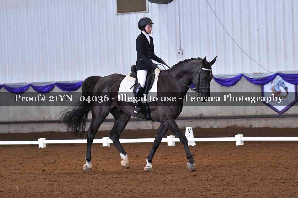 Proof 21YN_04036