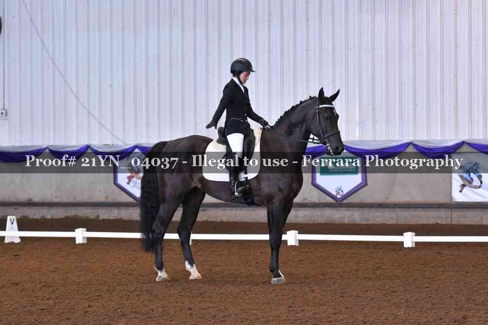 Proof 21YN_04037