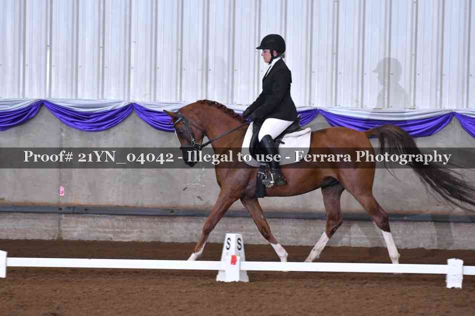 Proof 21YN_04042