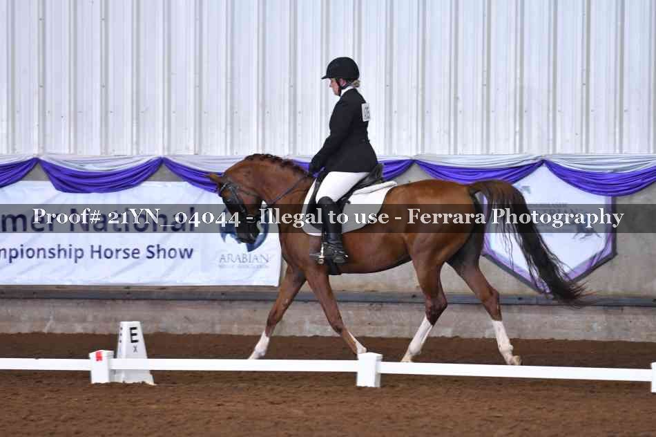 Proof 21YN_04044