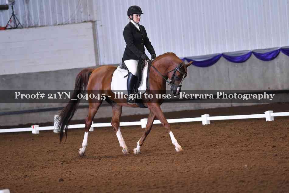 Proof 21YN_04045