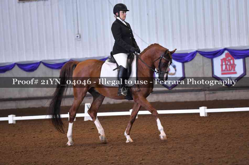 Proof 21YN_04046