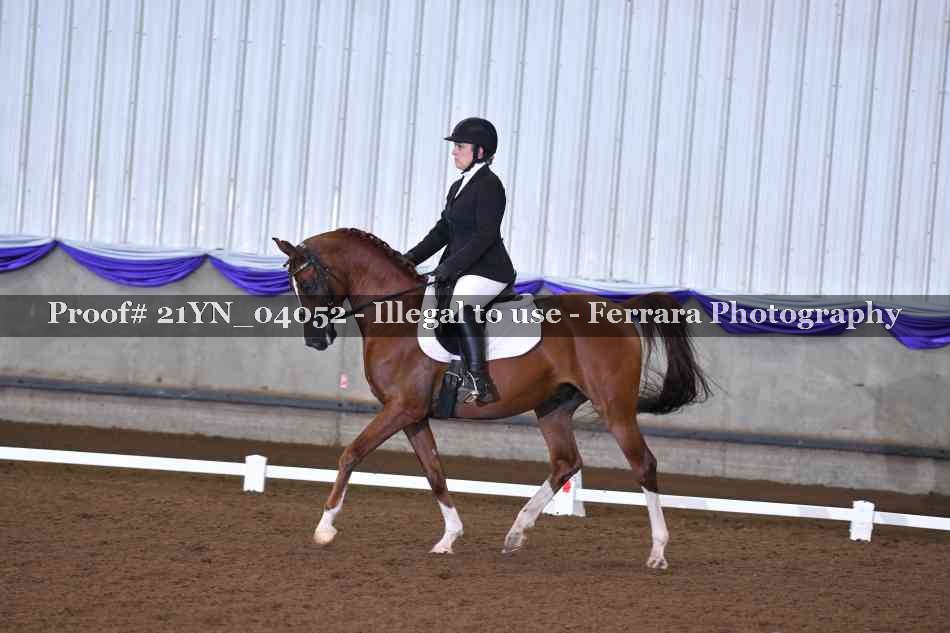 Proof 21YN_04052